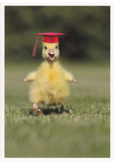 GRAD3615